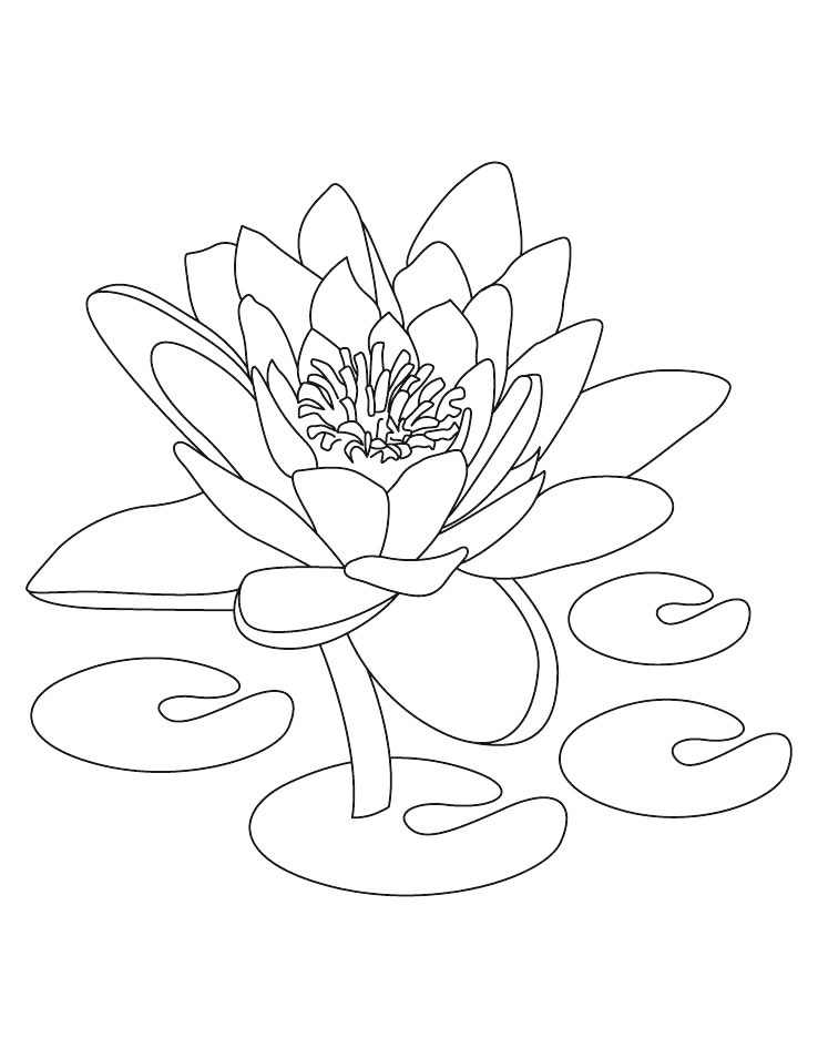 Lotus Flower India Coloring Page