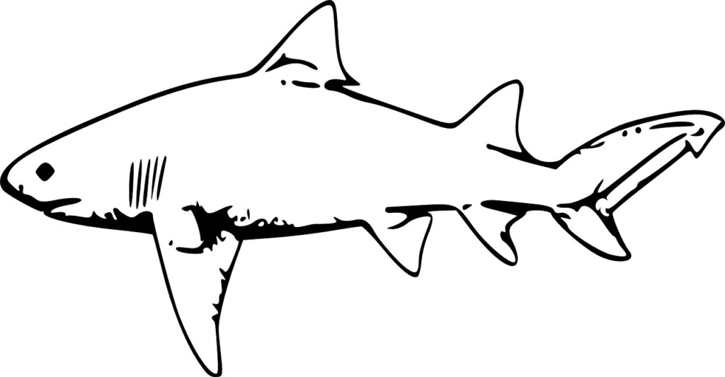 Realistic Tiger Shark Coloring Page