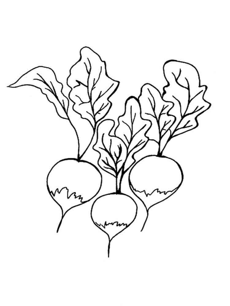 3 Radish Coloring Pages