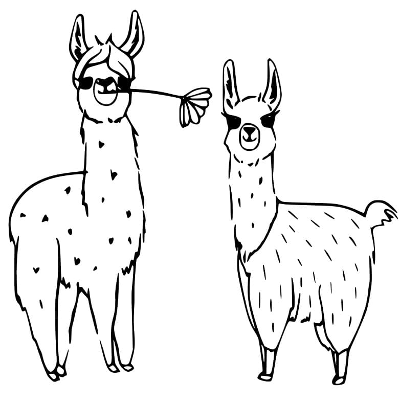 Argentina Llama Coloring Page