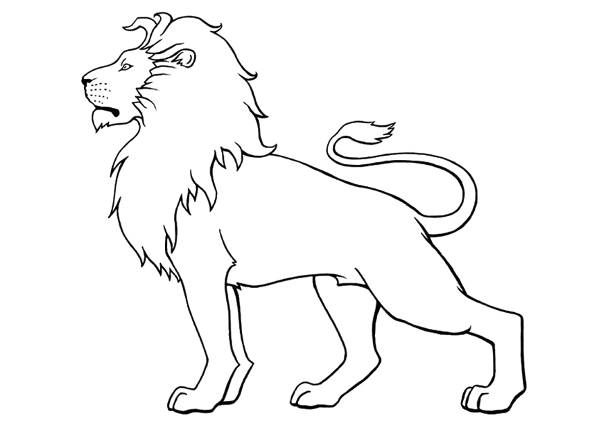 Belgium Lion Coloring Page