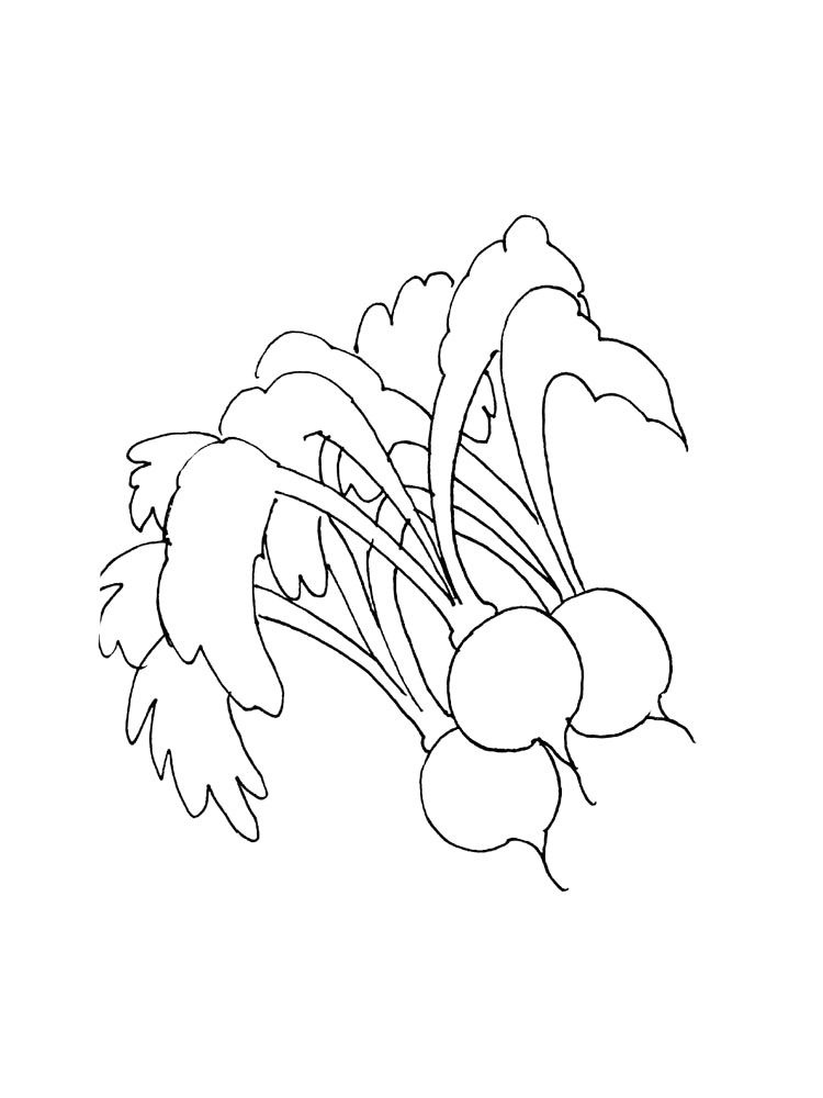 Bunch Of Radish Coloring Page
