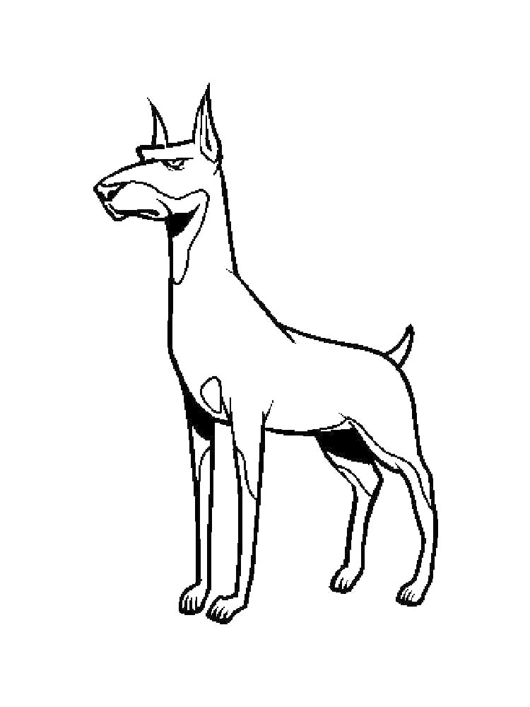 Cool Dobermann Coloring Page