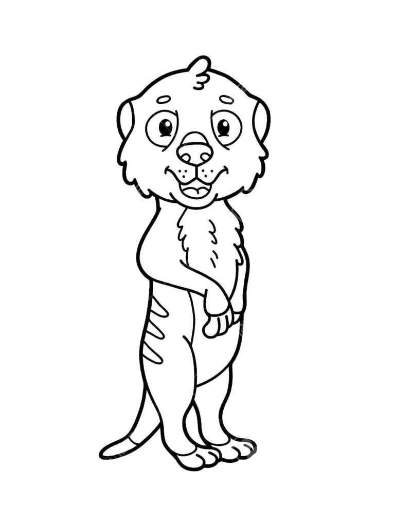 Cute Cartoon Meerkat Coloring Page