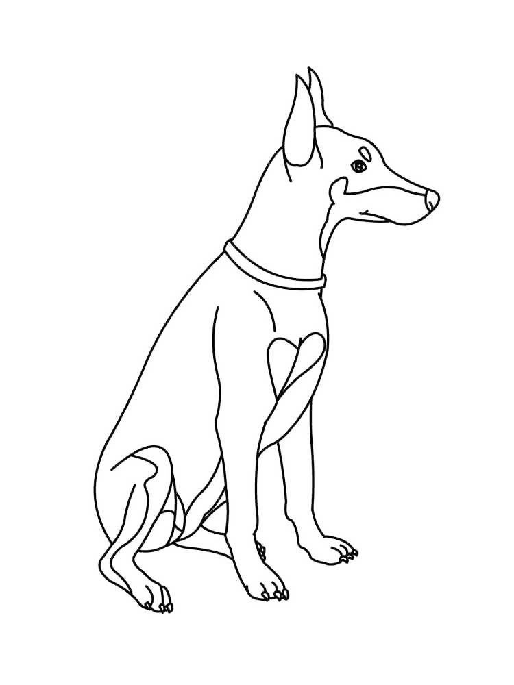 Cute Dobermann Puppy Coloring Page
