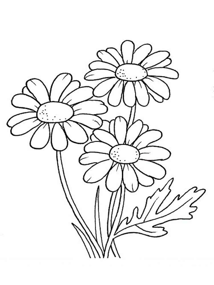 Daisy Denmark National Flower Coloring Page