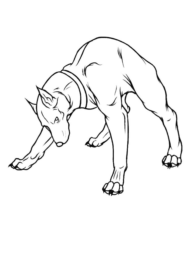 Doberman Breed Coloring Page