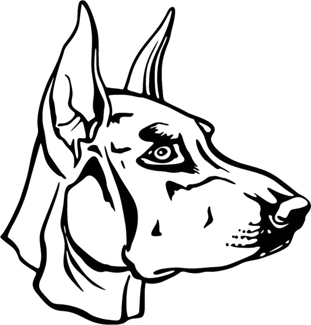 Dobermann Head Coloring Page