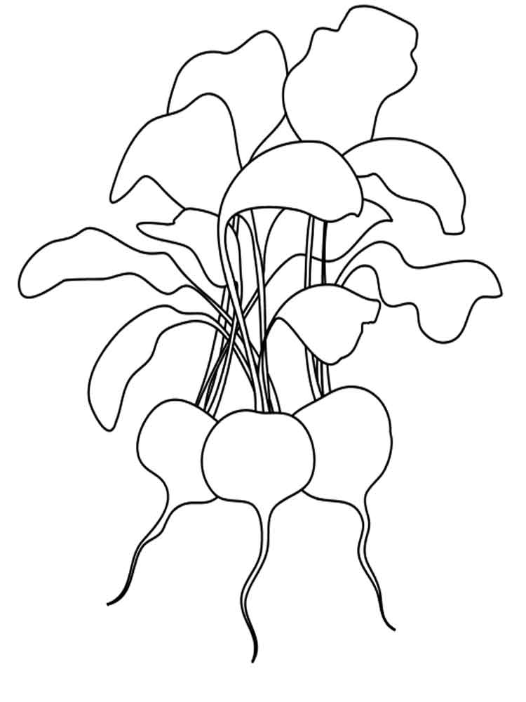 Easy Radishes Coloring Page