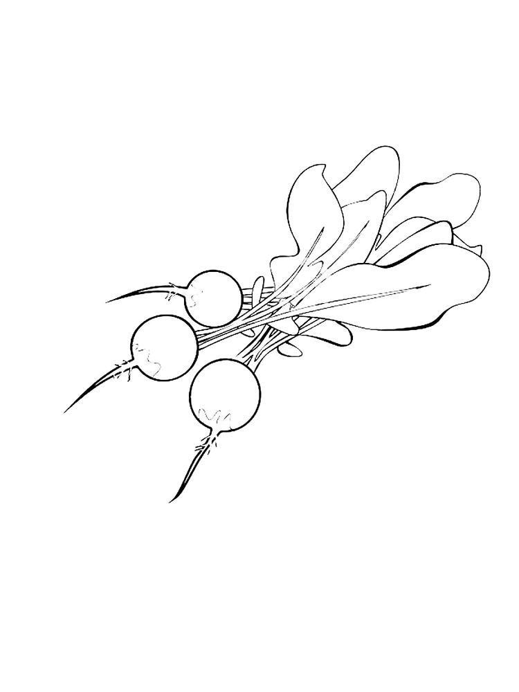 Easy Radishes Coloring Pages