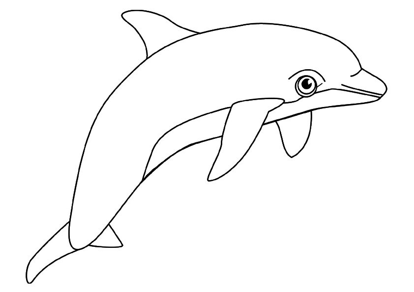 Greece National Animal Dolphin Coloring Page