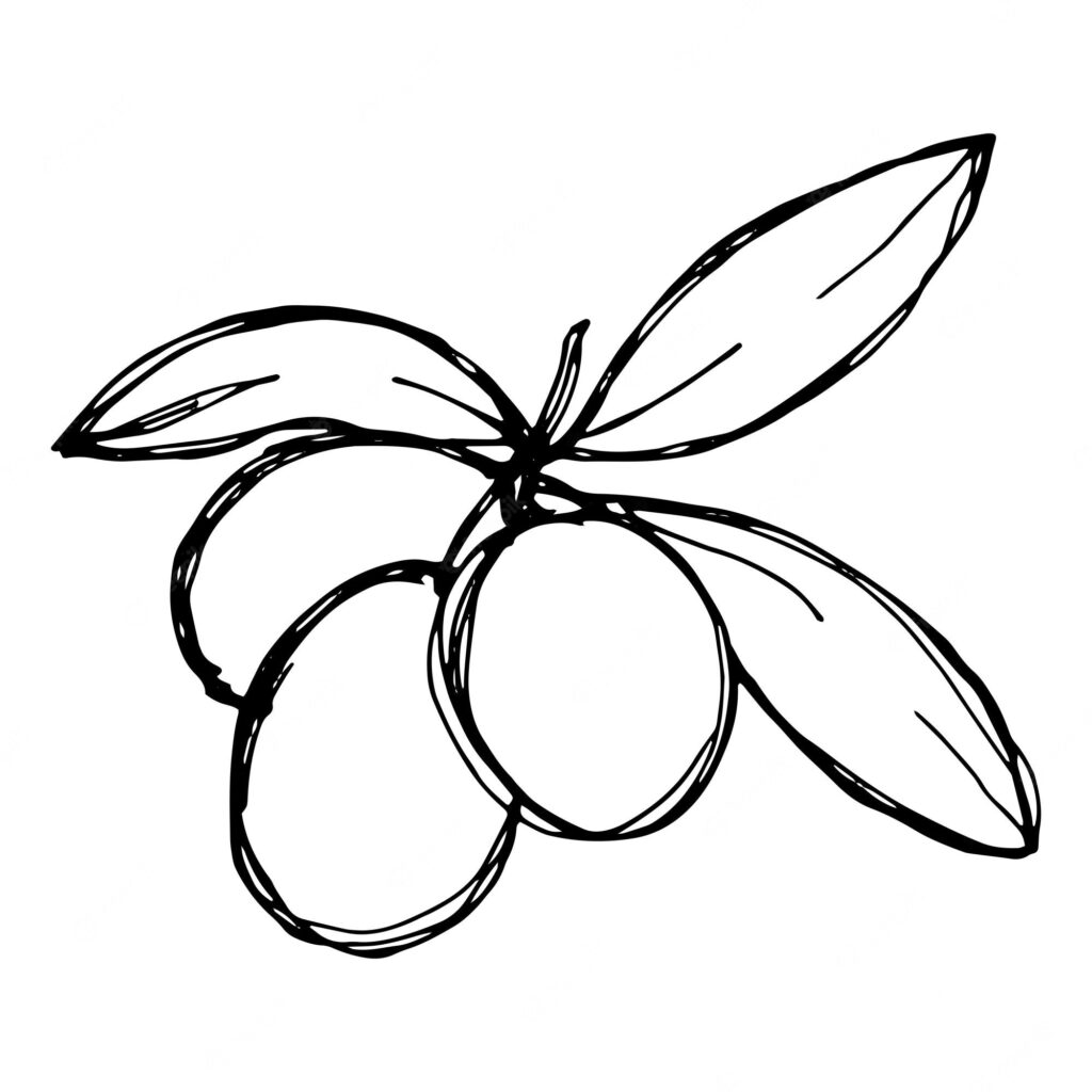 Greek Olives Coloring Page