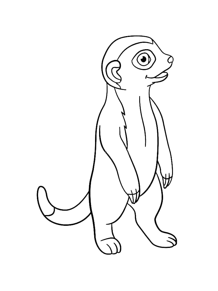 Happy Meerkat Coloring Page