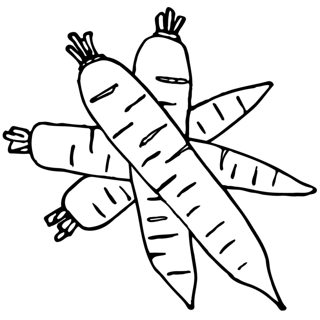 Long Radish Coloring Page