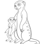 Mom And Baby Meerkat Coloring Page