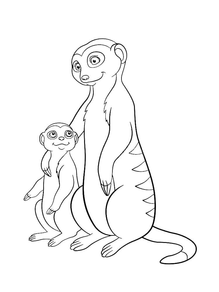 Mom And Baby Meerkat Coloring Page