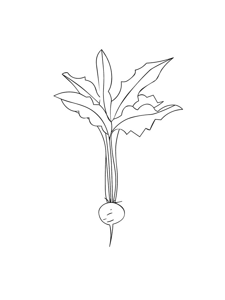 One Radish Coloring Page