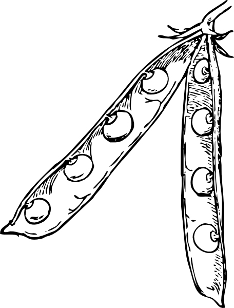 Peas Vegetable Coloring Pages