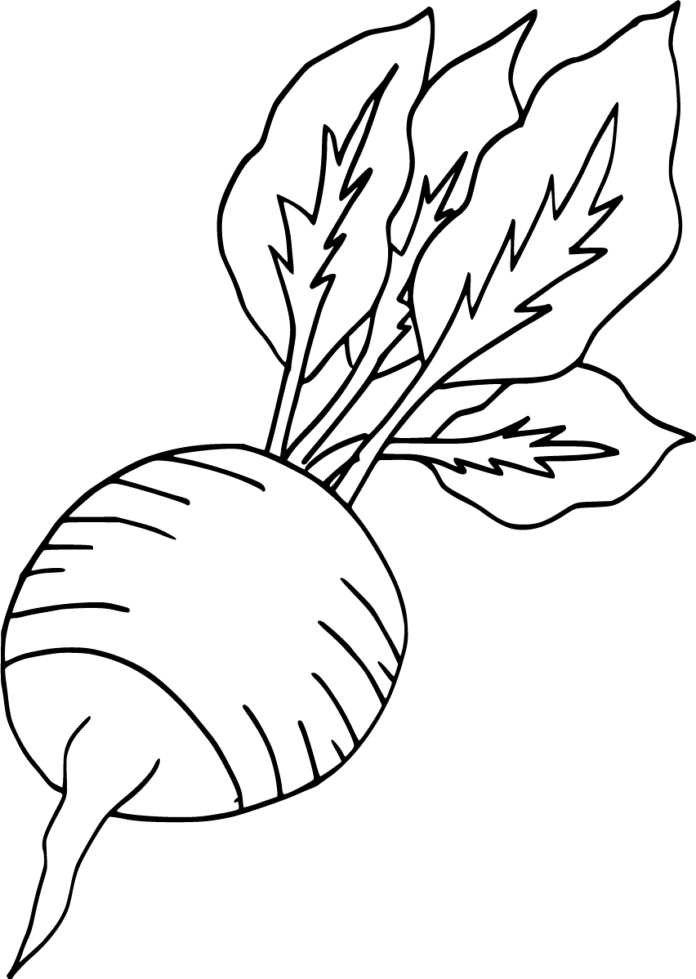 Radish Radish Coloring Page