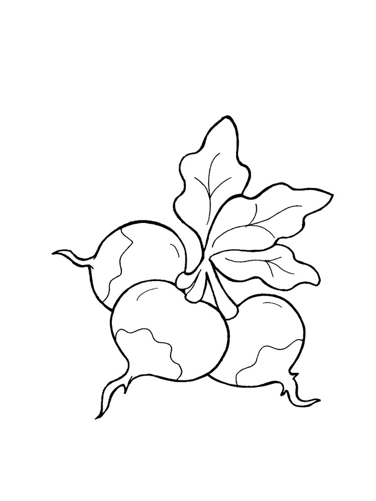 Radishes Coloring Page