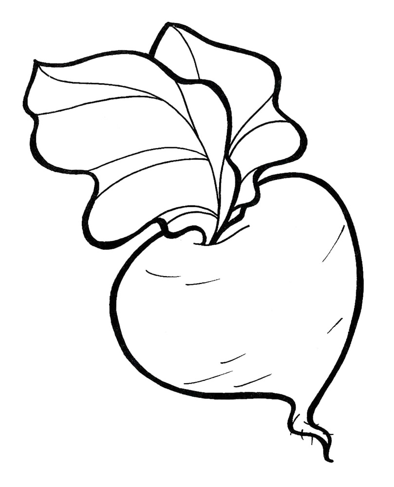 Simple Radish Coloring Page