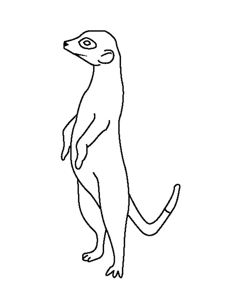 Standing Meerkat Coloring Page