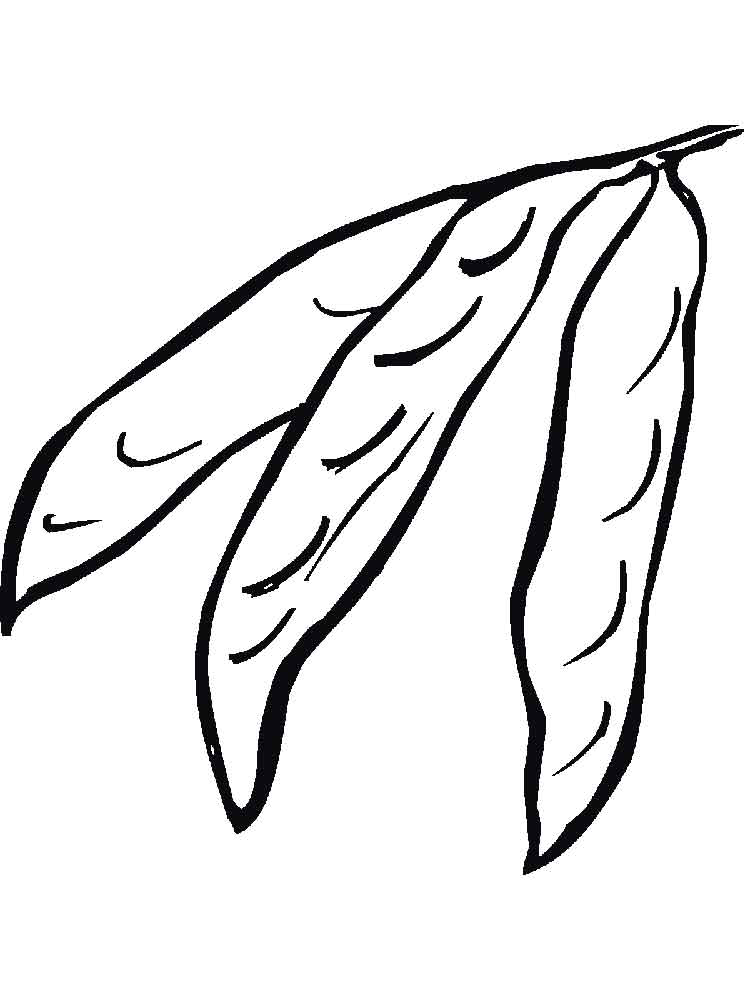 Three Pea Pods Coloring Page