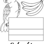 Columbia Coloring Page