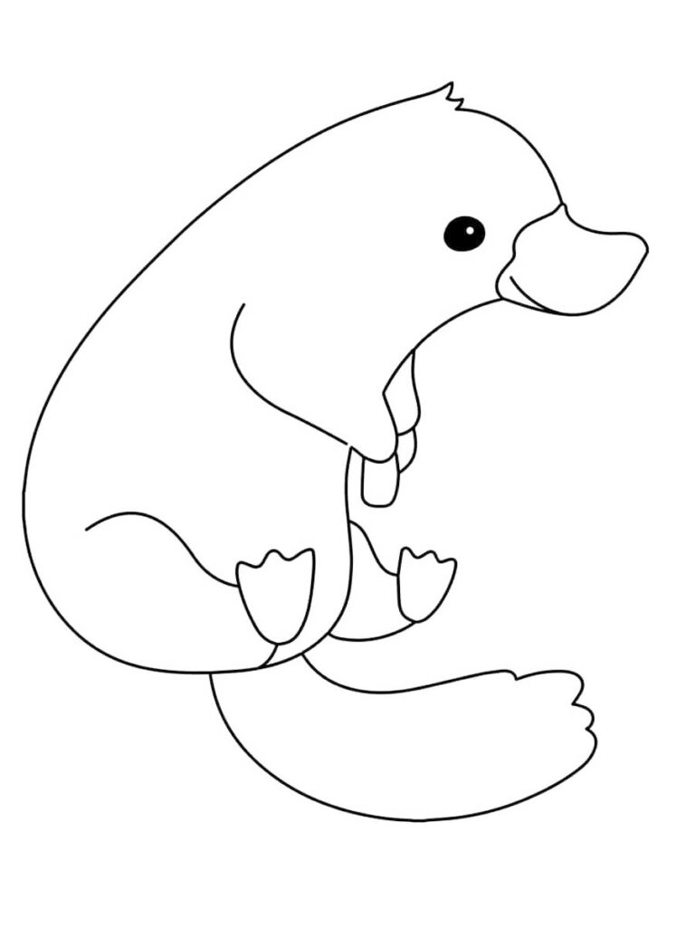Cute Platypus Animal Coloring Page