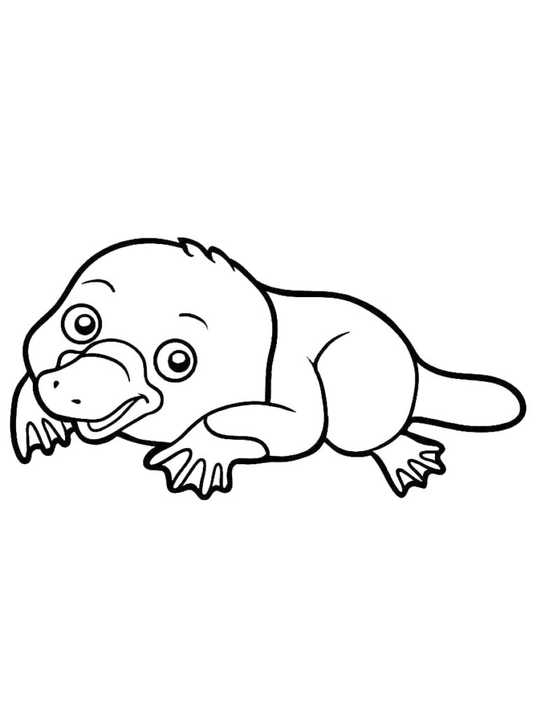 Cute Platypus Coloring Page