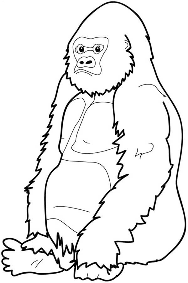 Gorilla Uganda Coloring Page