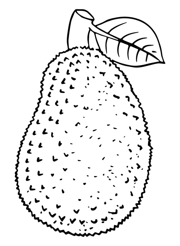 Jackfruit Uganda Coloring Page