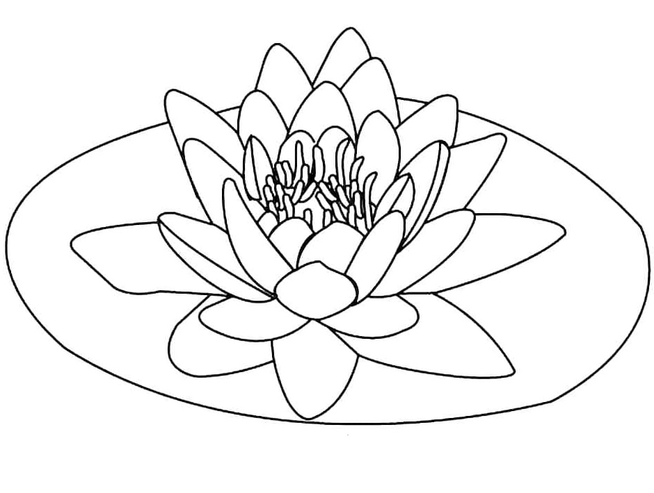 Lotus National Flower Of Egypt Coloring Page
