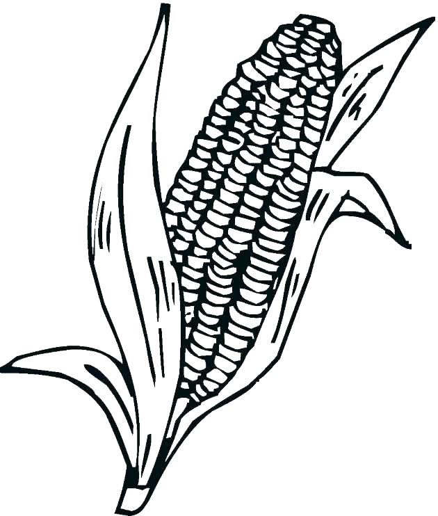 Maize Coloring Page