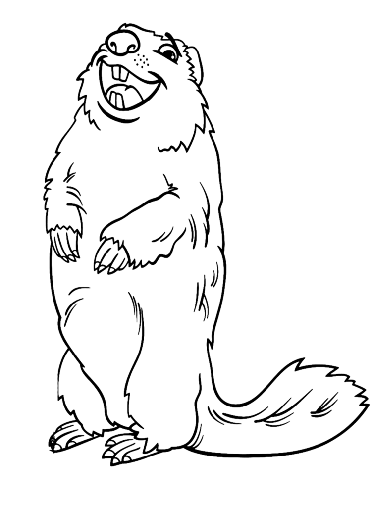 Marmot Coloring Page
