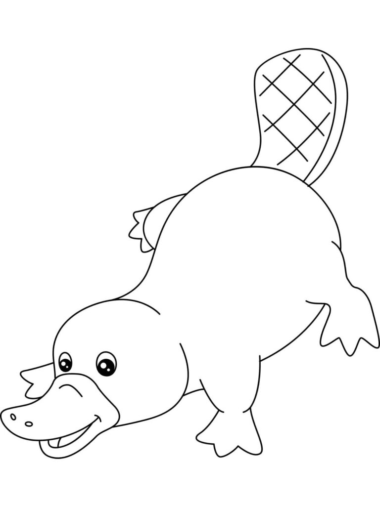 Platypus Animal Coloring Page
