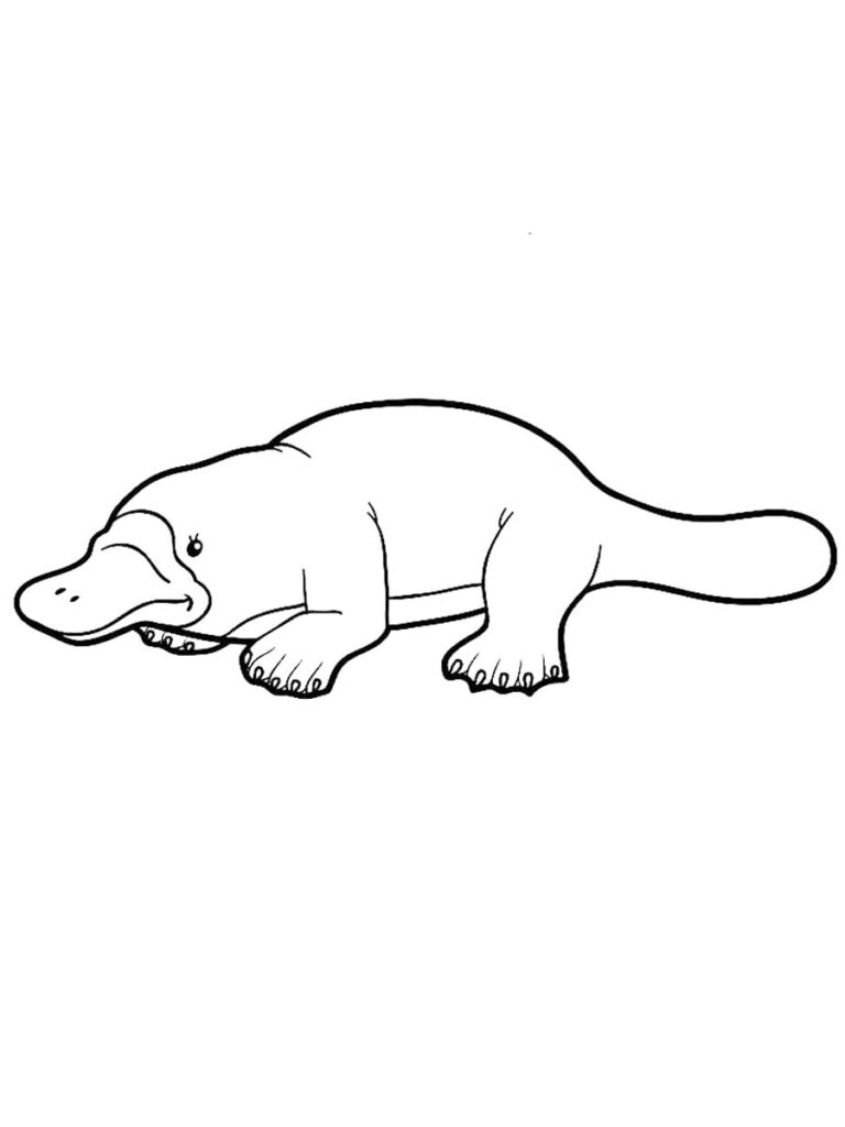 Platypus Coloring Page