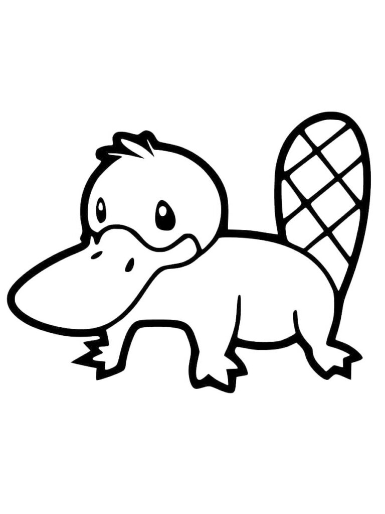 Platypus Drawing Coloring Page