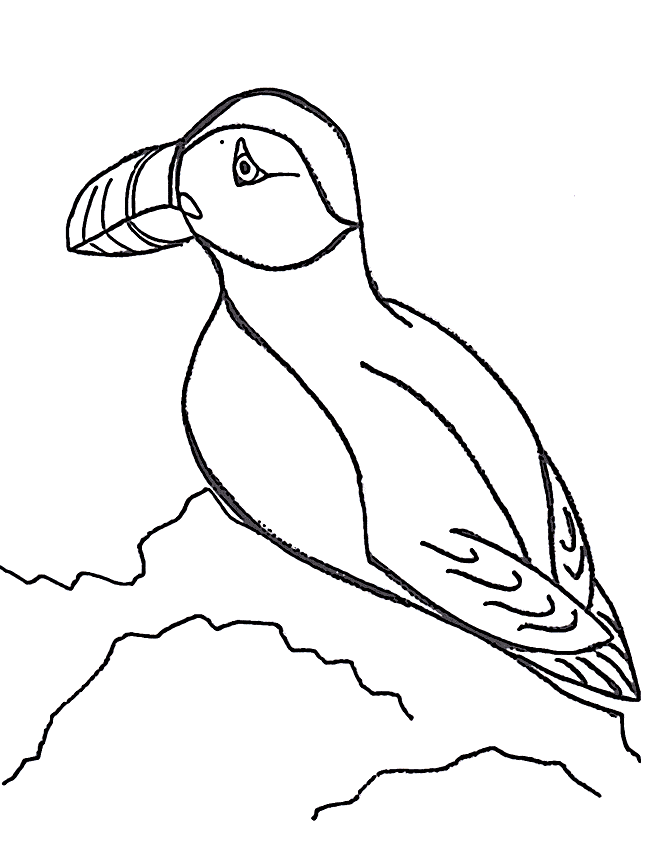 Puffin Coloring Page