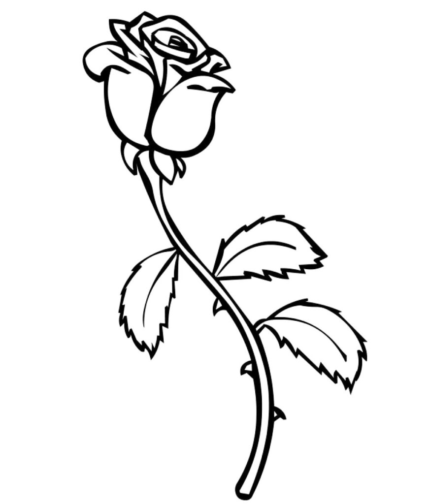 United Kingdoms National Flower Rose Coloring Page