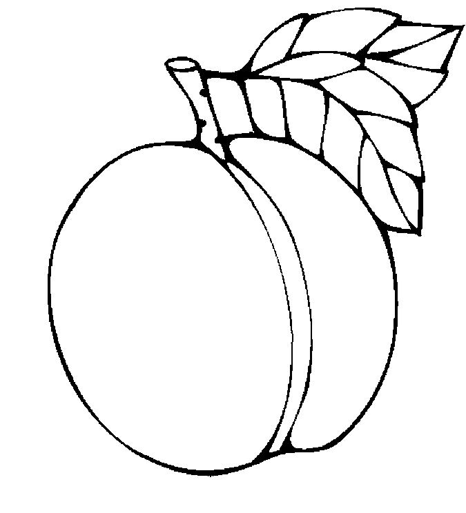 Apricot In Hungary Coloring Page