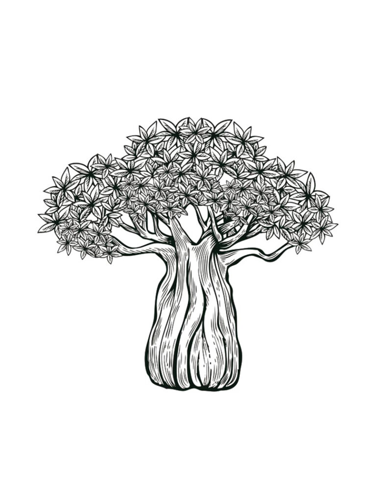 Baobab Tree Coloring Page