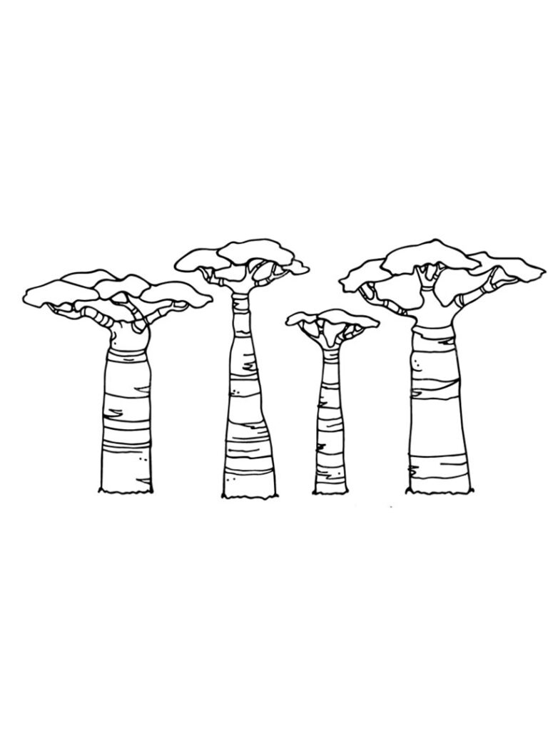 Baobab Tree In Tanzania Coloring Page