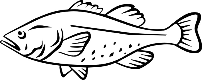 Cod Fish In Portugal Coloring Page