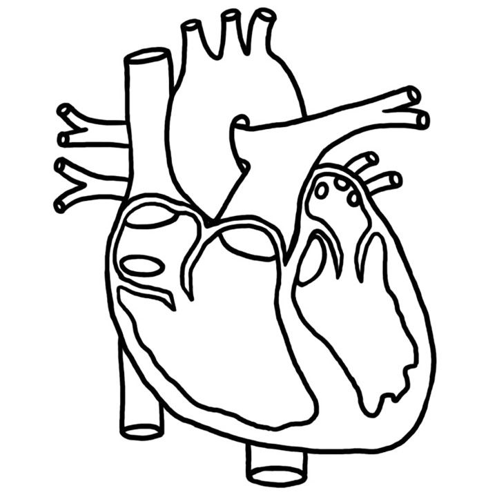 First Heart Transplant South Africa Coloring Page
