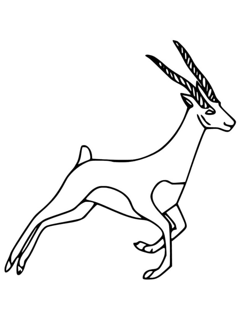 Gazelle Coloring Page