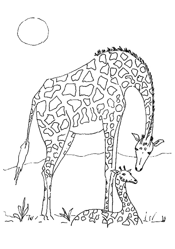 Giraffe National Animal Of Tanzania Coloring Page