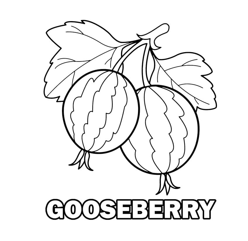 Gooseberry In Norway Coloring Page