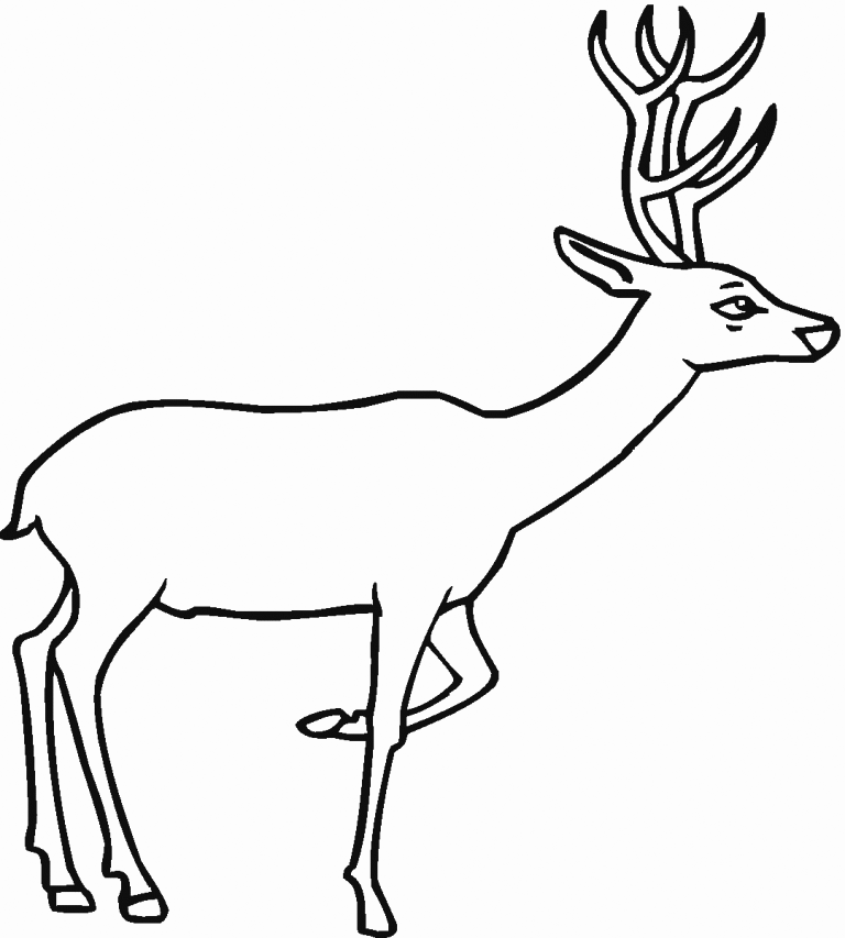 Huemul Deer National Animal Of Chile Coloring Page