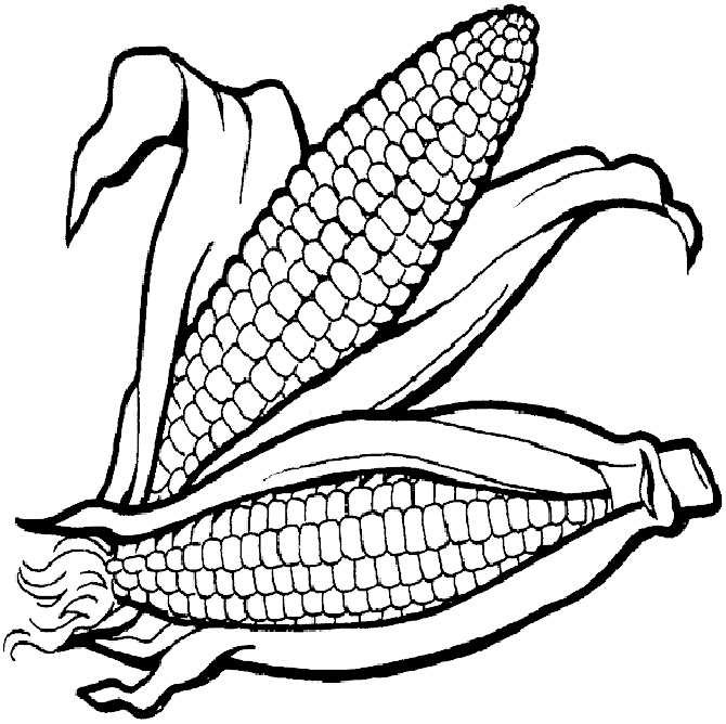 Hungary Corn Coloring Page